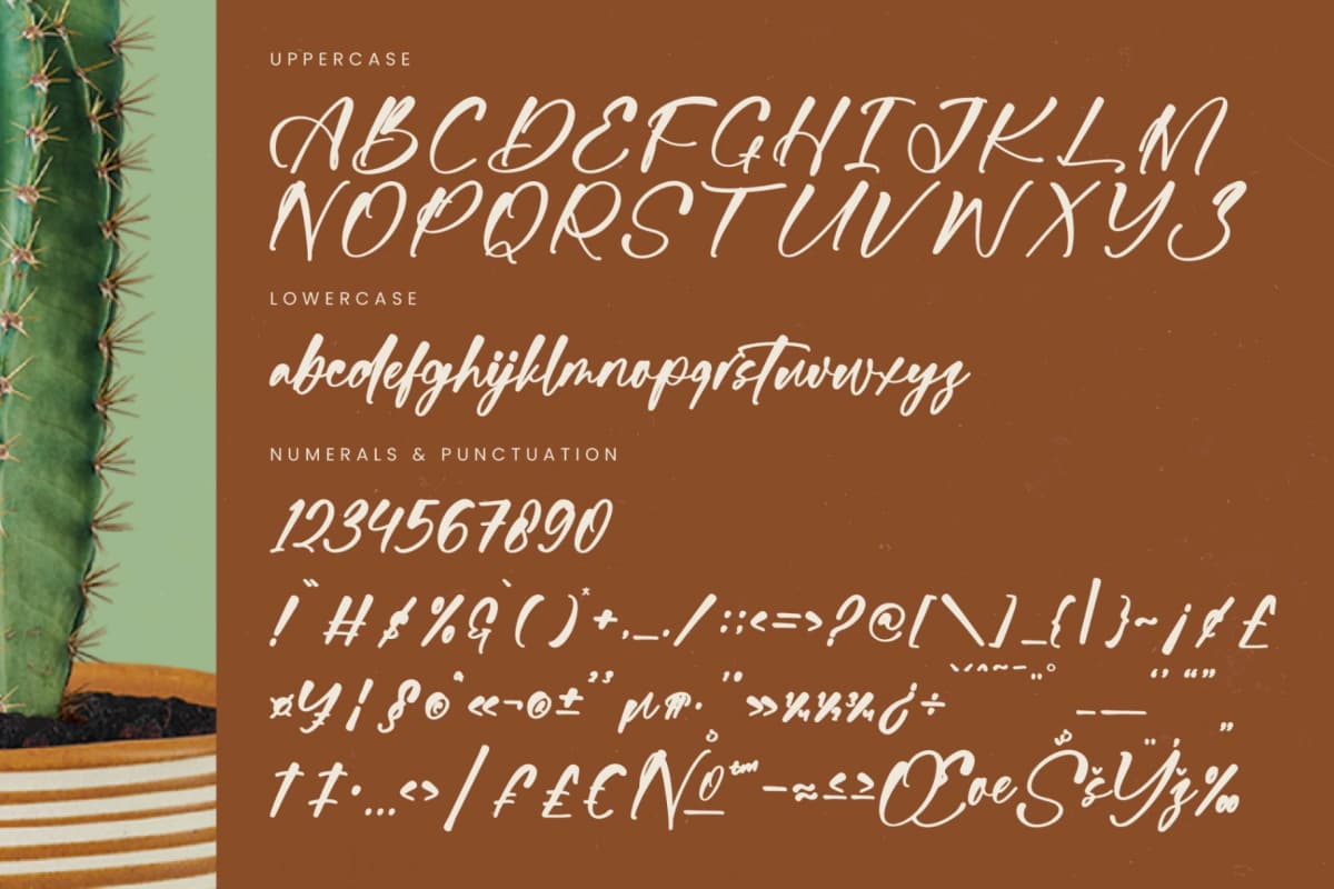 Preview 18 for Bartely Cactus - Natural Handwritten Font