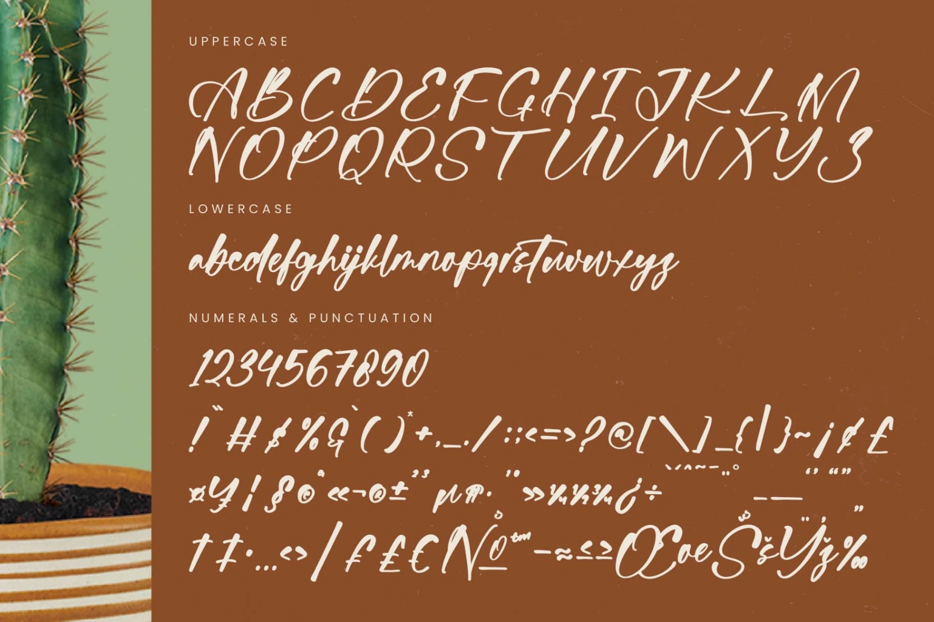 Preview 18 for Bartely Cactus - Natural Handwritten Font