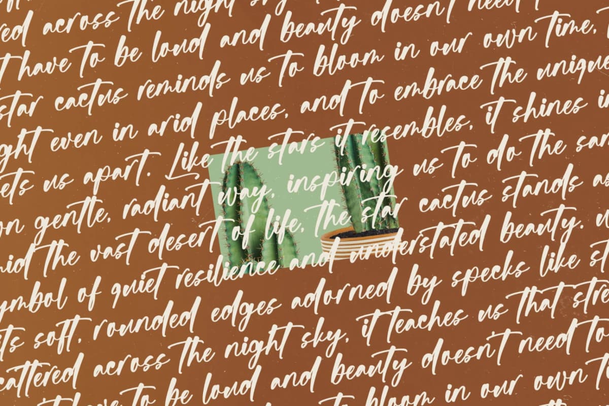 Bartely Cactus - Natural Handwritten Font font preview 14