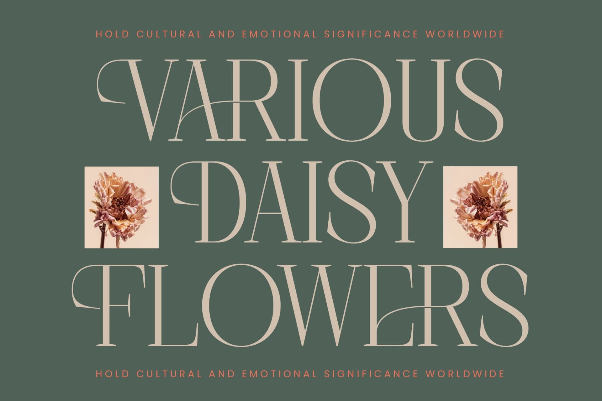 Preview 8 for Barely Painter - All Caps Serif Font