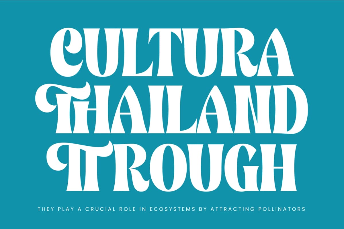 Preview 11 for Wajory Musika - Serif Display