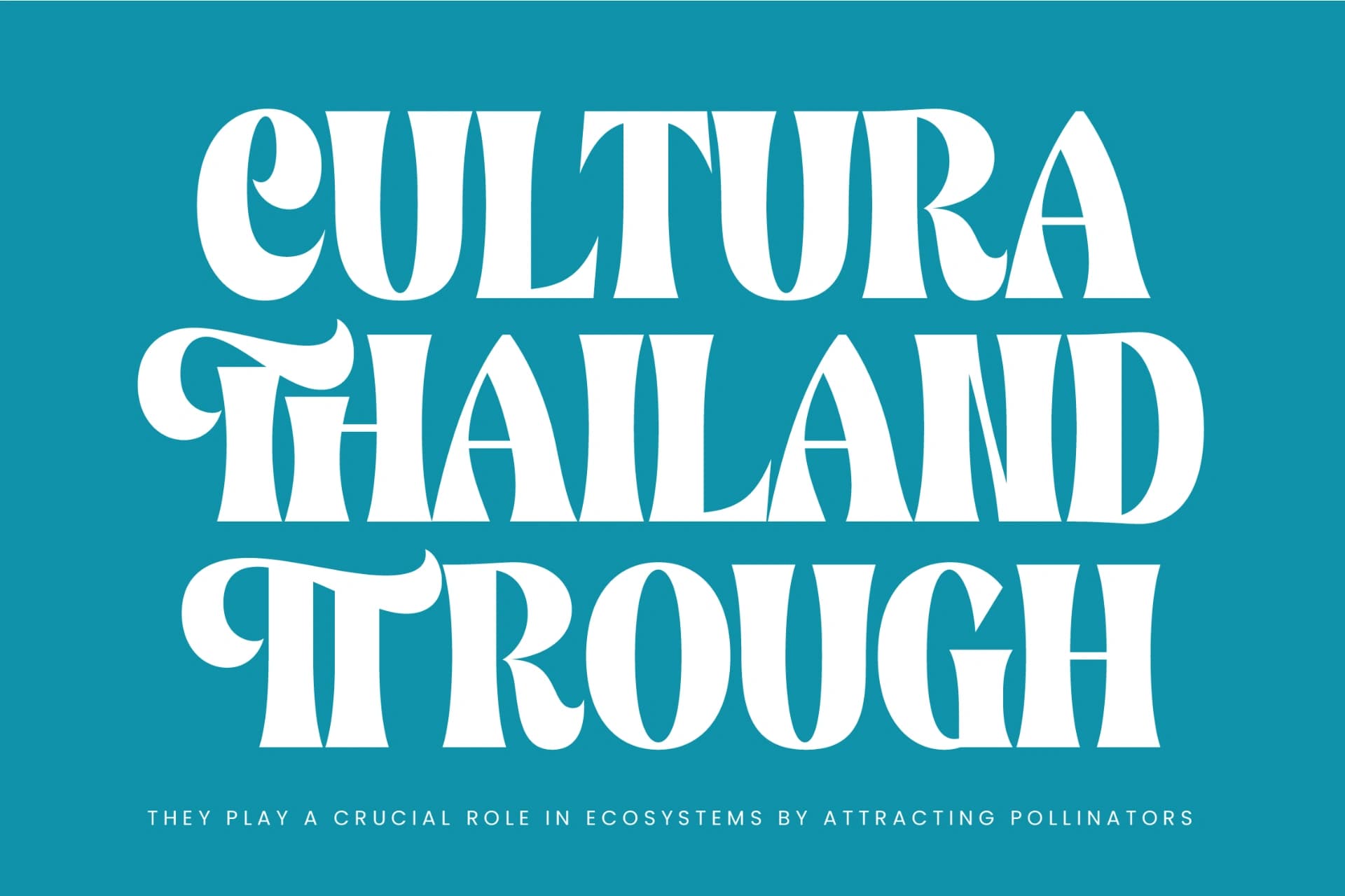 Preview 11 for Wajory Musika - Serif Display