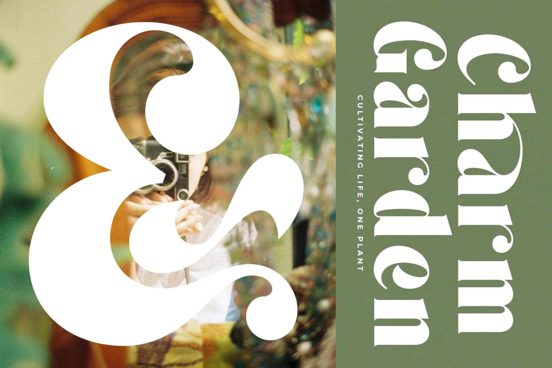 Preview 10 for Forest Sunrise - Bold Serif Display Font
