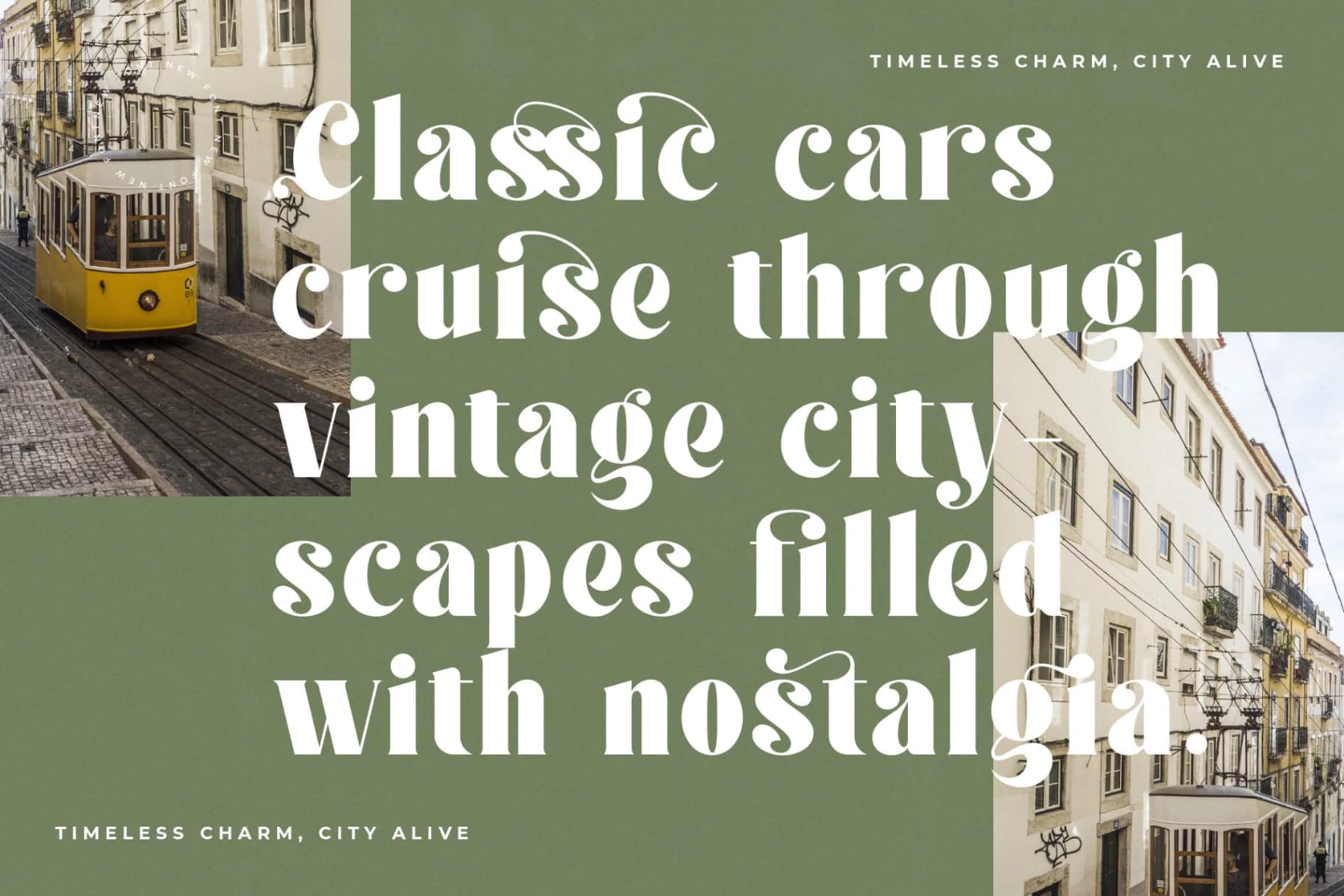 Preview 7 for Forest Sunrise - Bold Serif Display Font