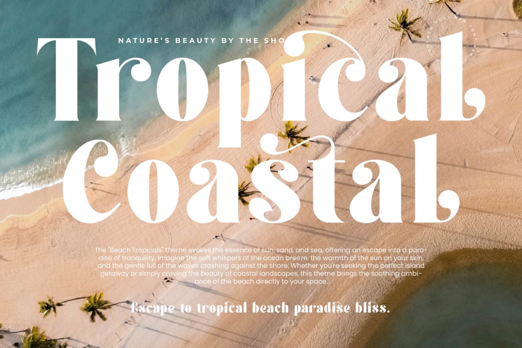 Preview 5 for Forest Sunrise - Bold Serif Display Font
