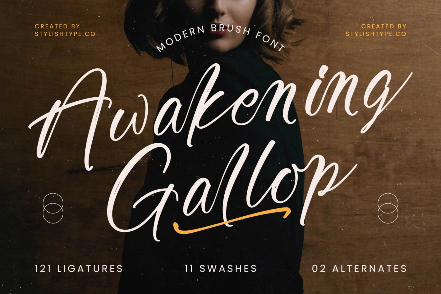 Preview of Awakening Gallop - Modern Brush Font font