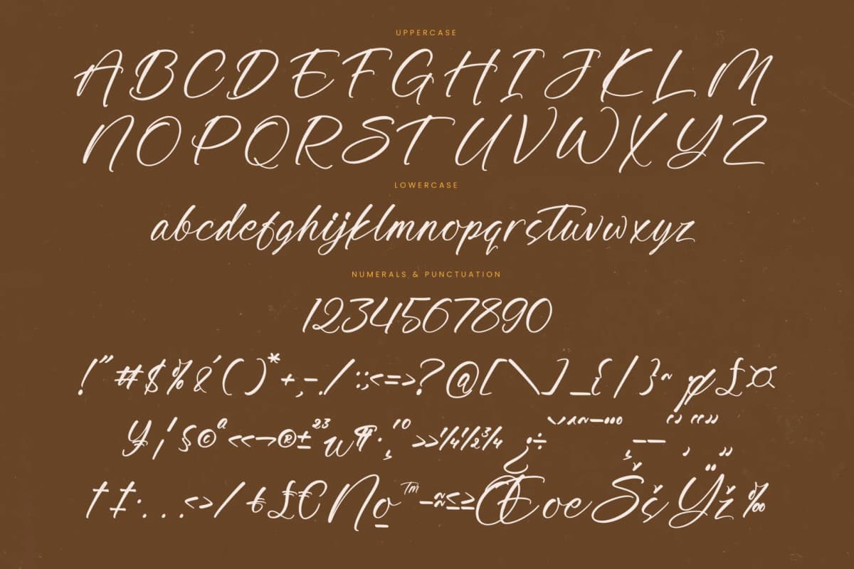 Awakening Gallop - Modern Brush Font font preview 18