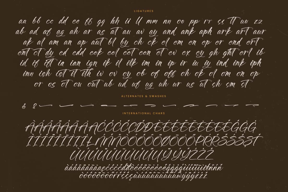 Awakening Gallop - Modern Brush Font font preview 19