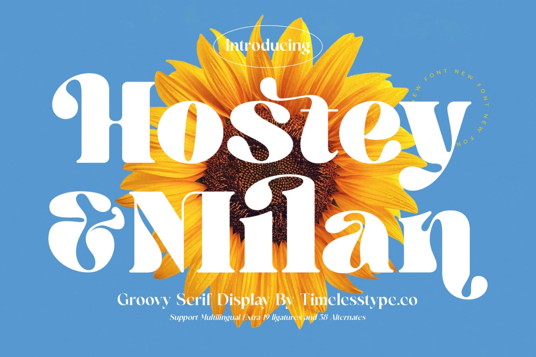 Preview 1 for Hostey & Milan - Groovy Serif Display