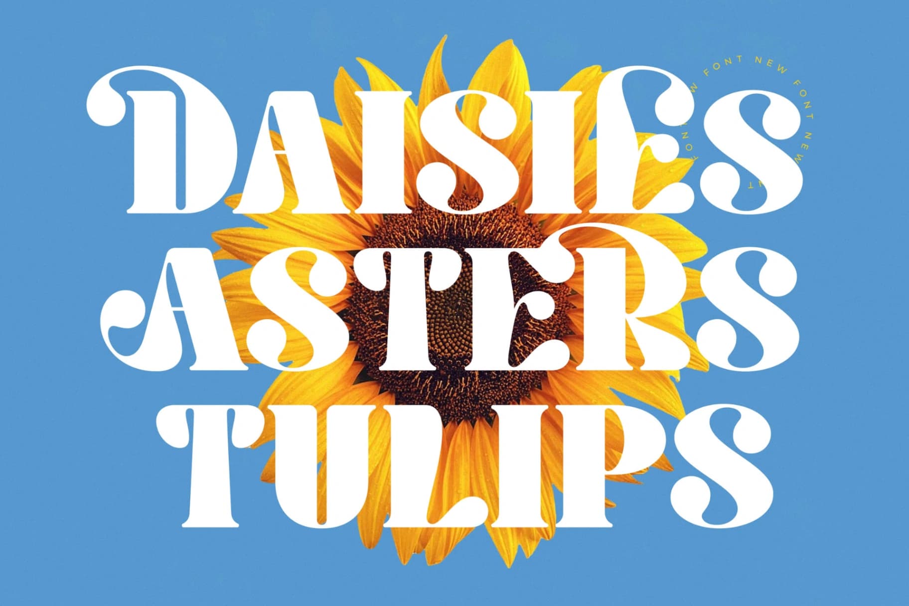 Preview 15 for Hostey & Milan - Groovy Serif Display