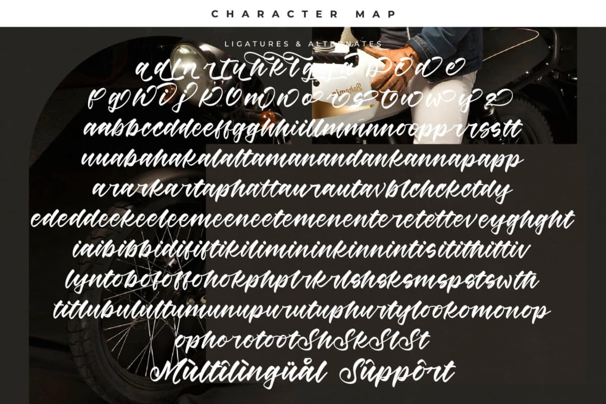 Winds Rolling - Bold Calligraphy Script Font font preview 19