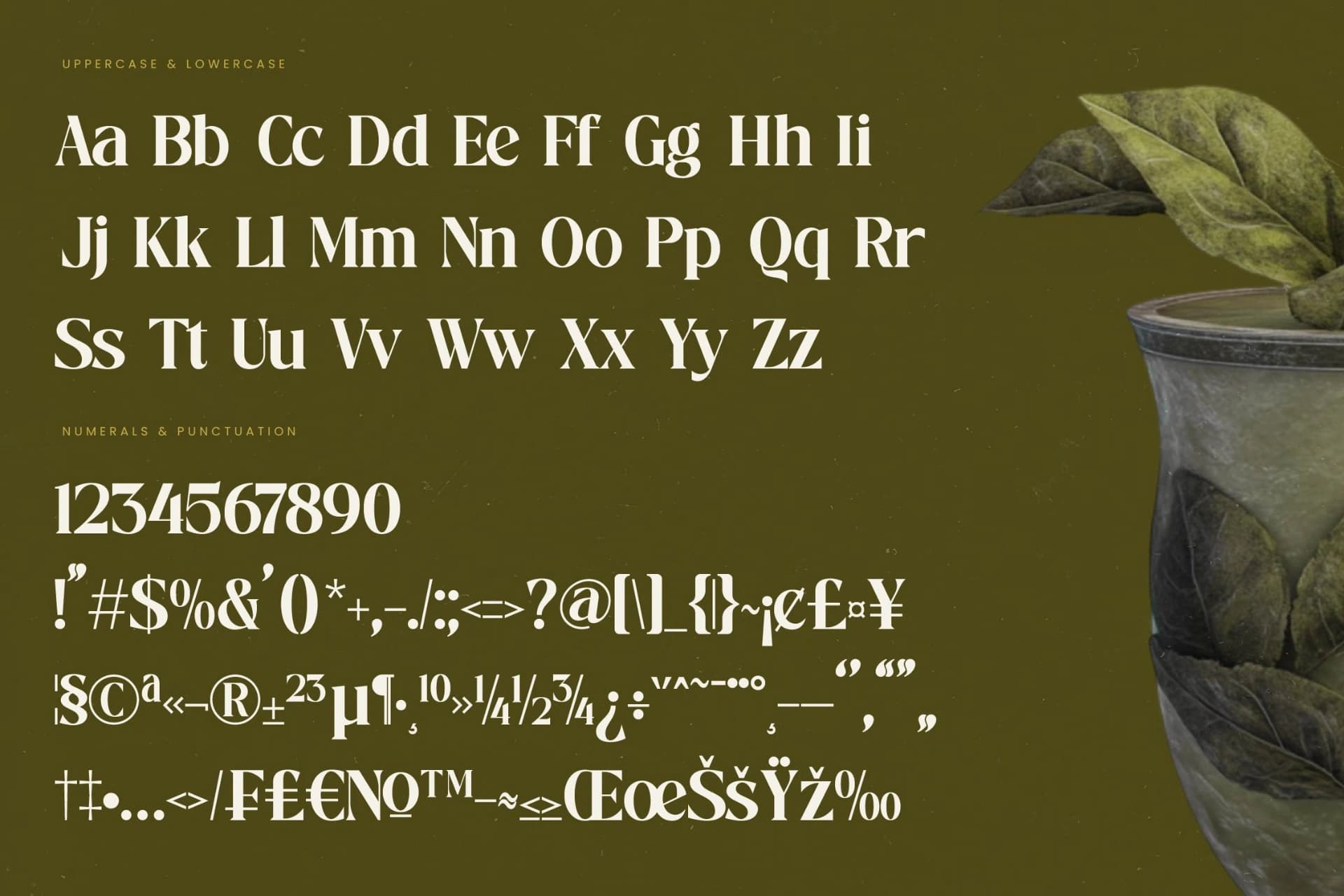 Preview 18 for Mistical Spring - Bold Tall Serif Display Font
