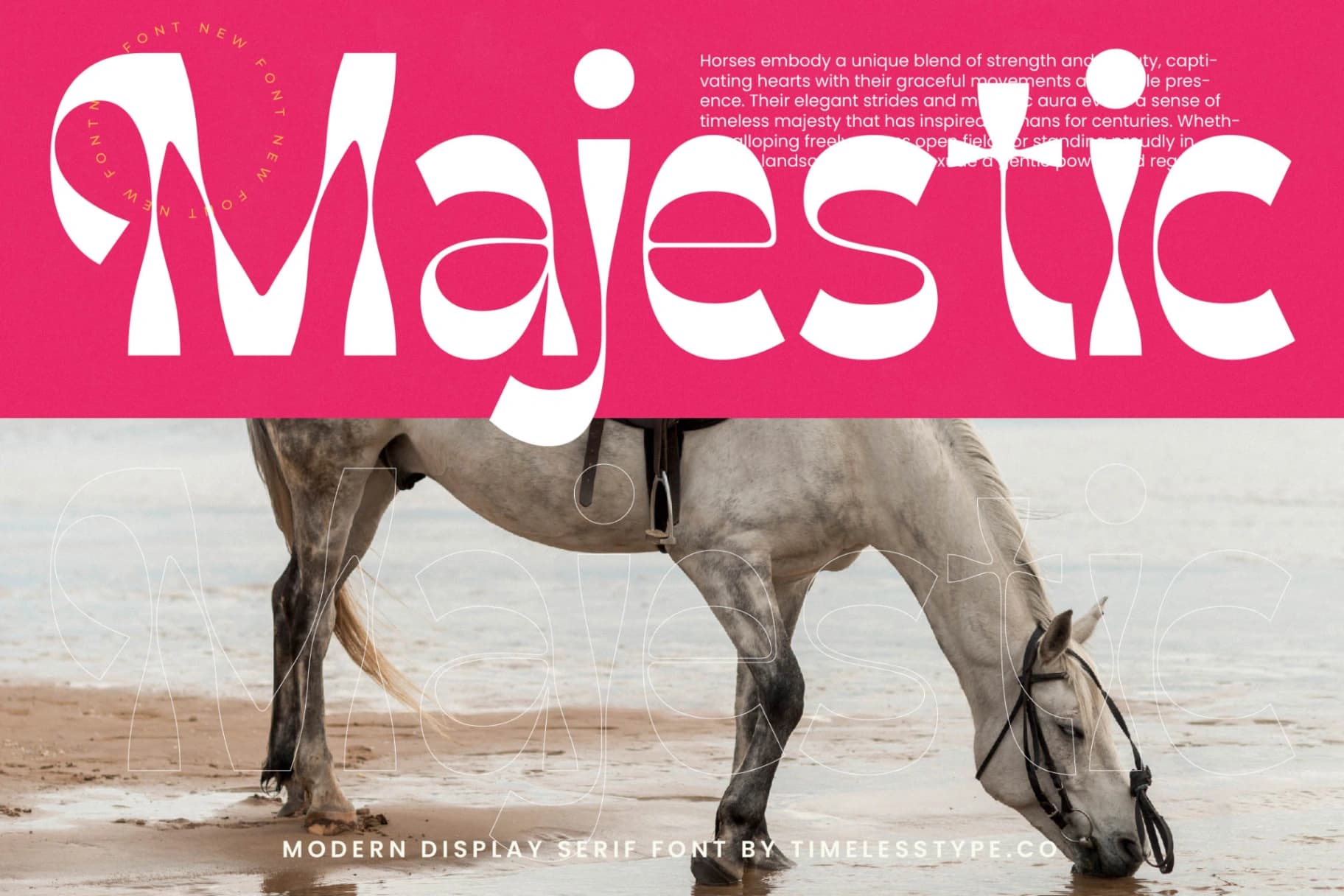 Preview 11 for Weekly Sunday - Modern Display Serif Font