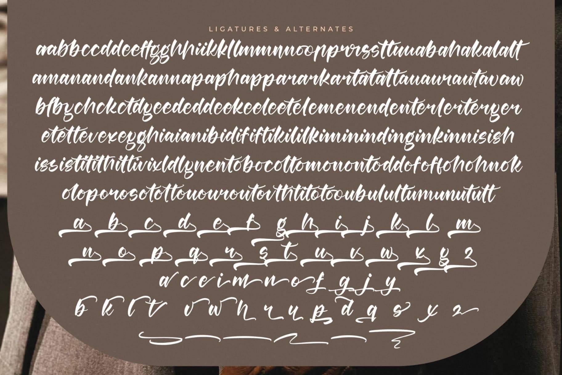 Preview 19 for Berlin Travels - Bold Calligraphy Script