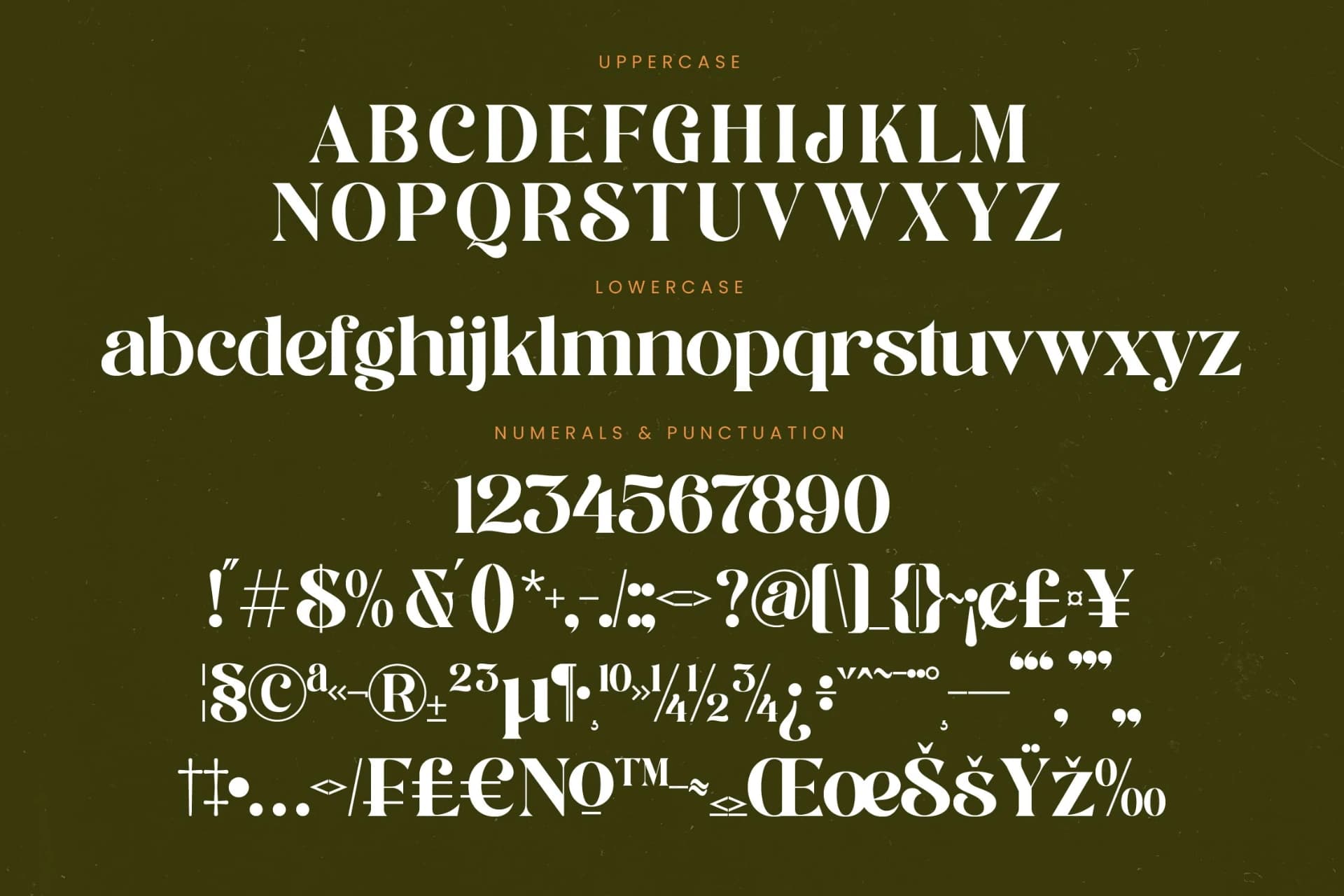 Preview 18 for Runlight Harmony - Groovy Serif Display Font