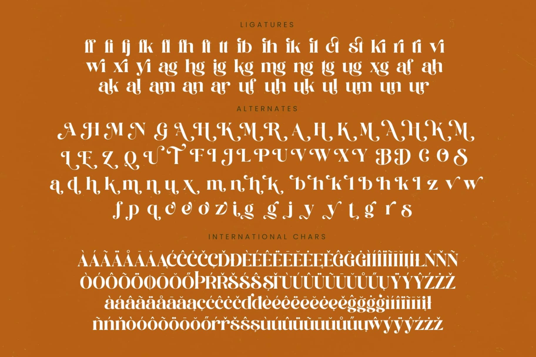 Preview 19 for Runlight Harmony - Groovy Serif Display Font