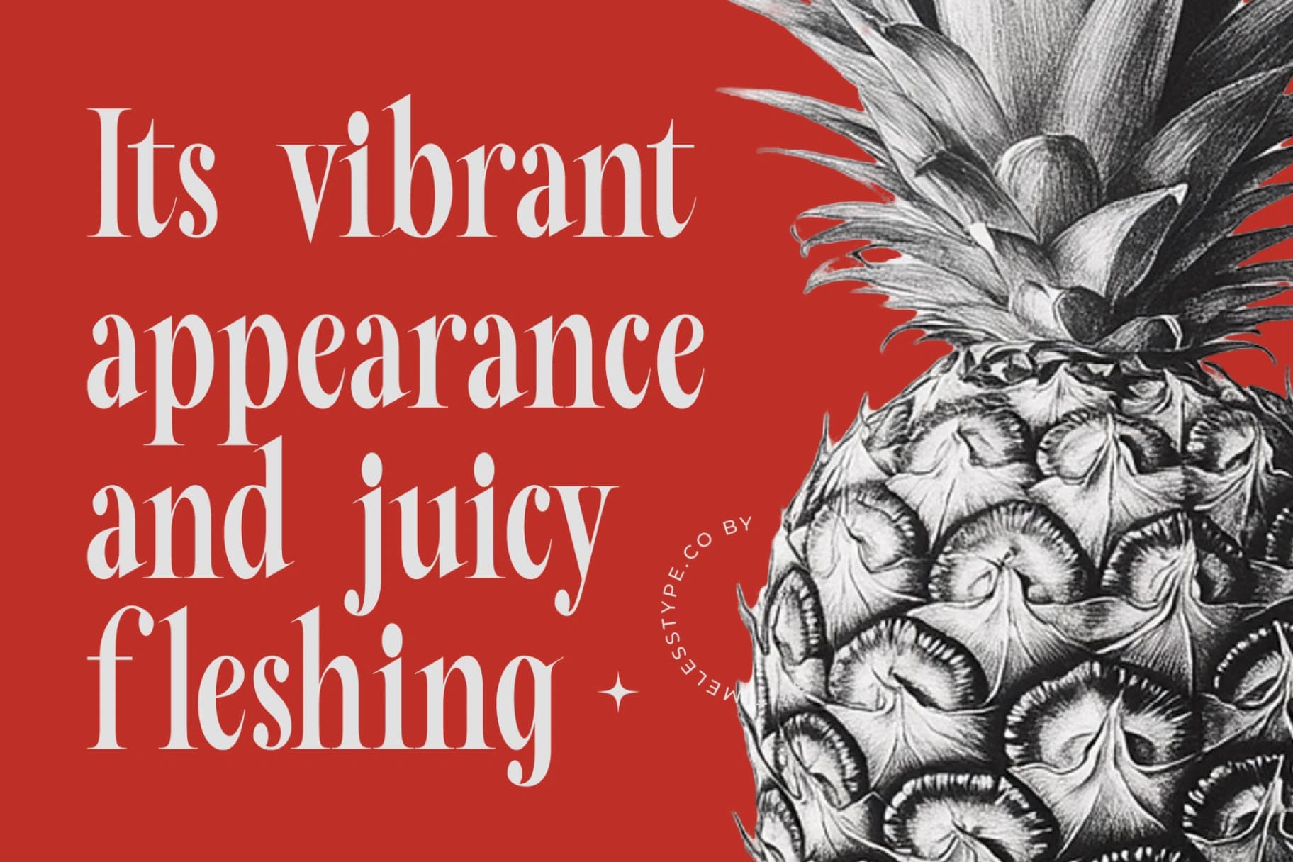 Preview 9 for Mafian - Tall Serif Display