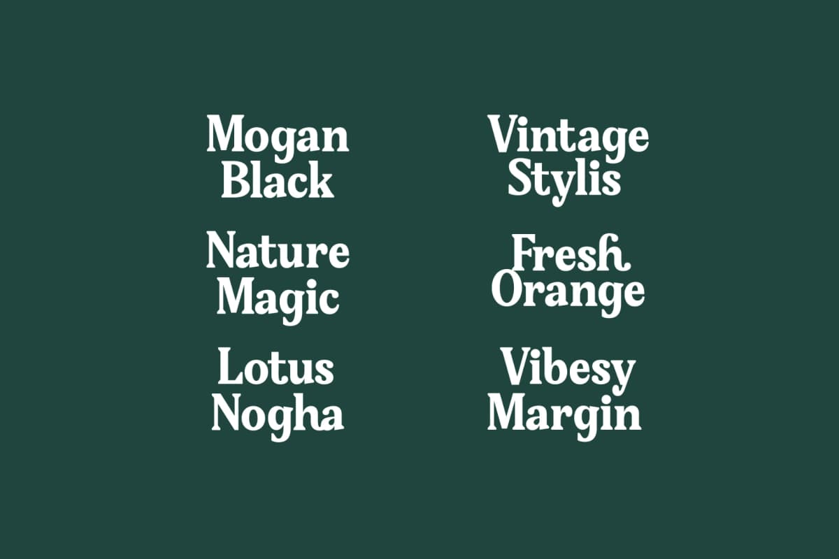 Gafjust Minfine - Modern Serif Display font preview 9