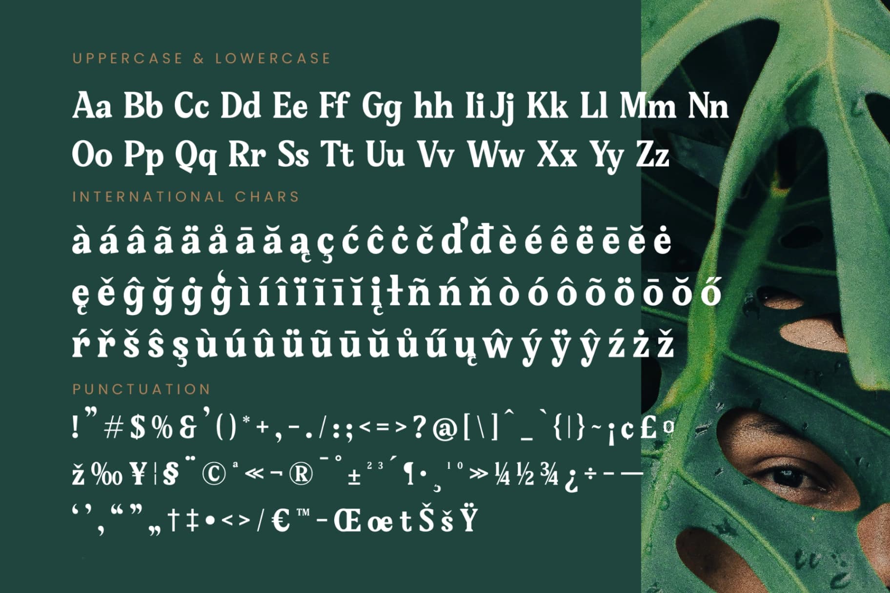 Preview 19 for Gafjust Minfine - Modern Serif Display