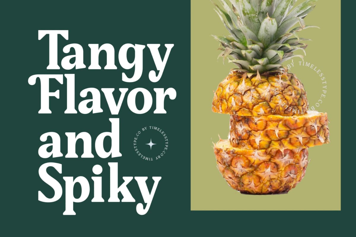 Gafjust Minfine - Modern Serif Display font preview 13