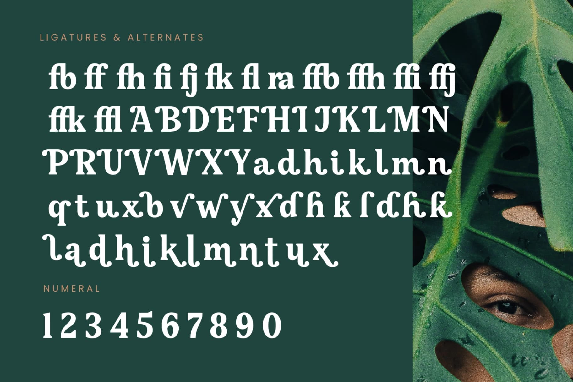 Preview 18 for Gafjust Minfine - Modern Serif Display