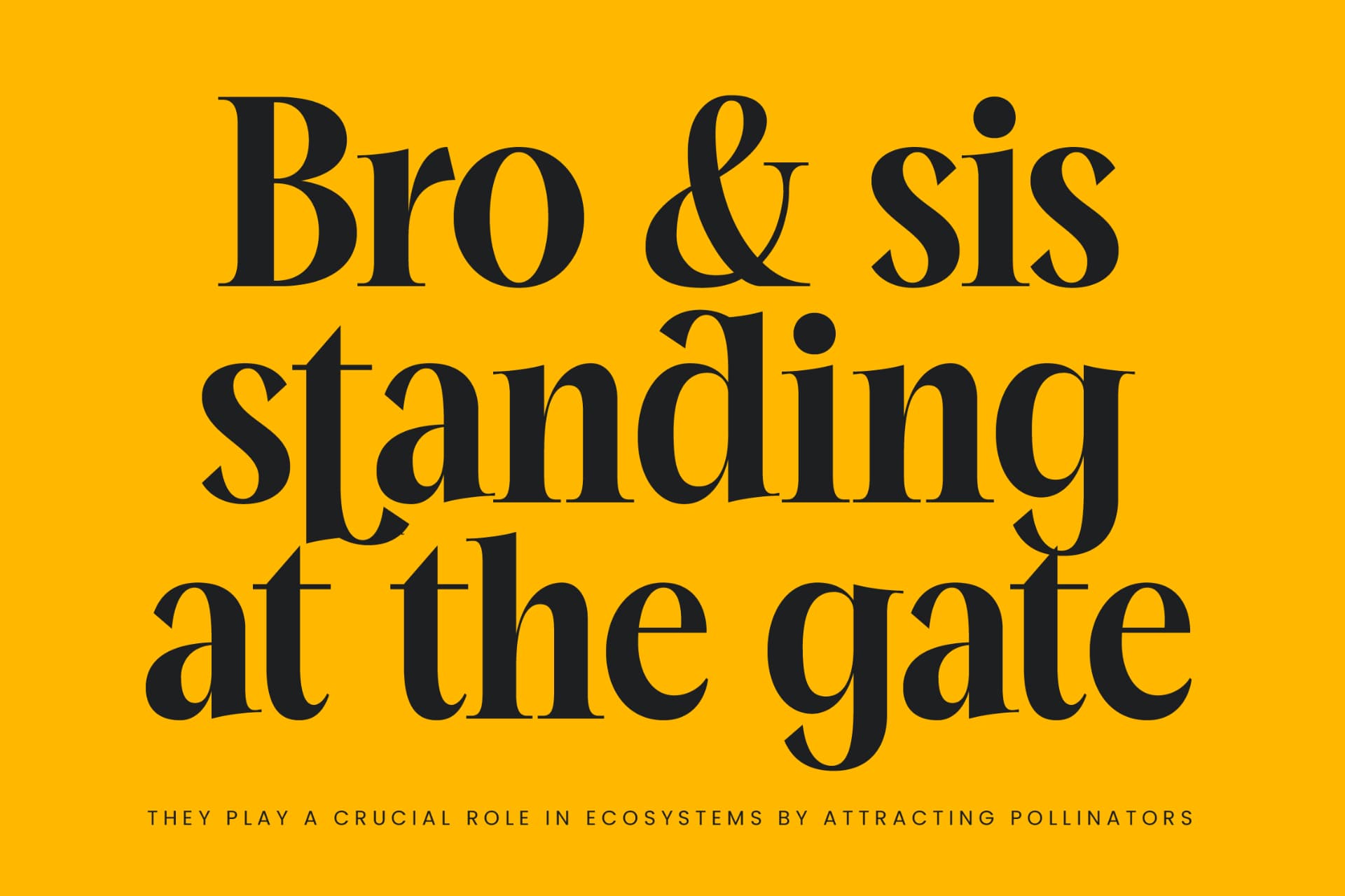 Preview 2 for Mailyo - Modern Serif Font