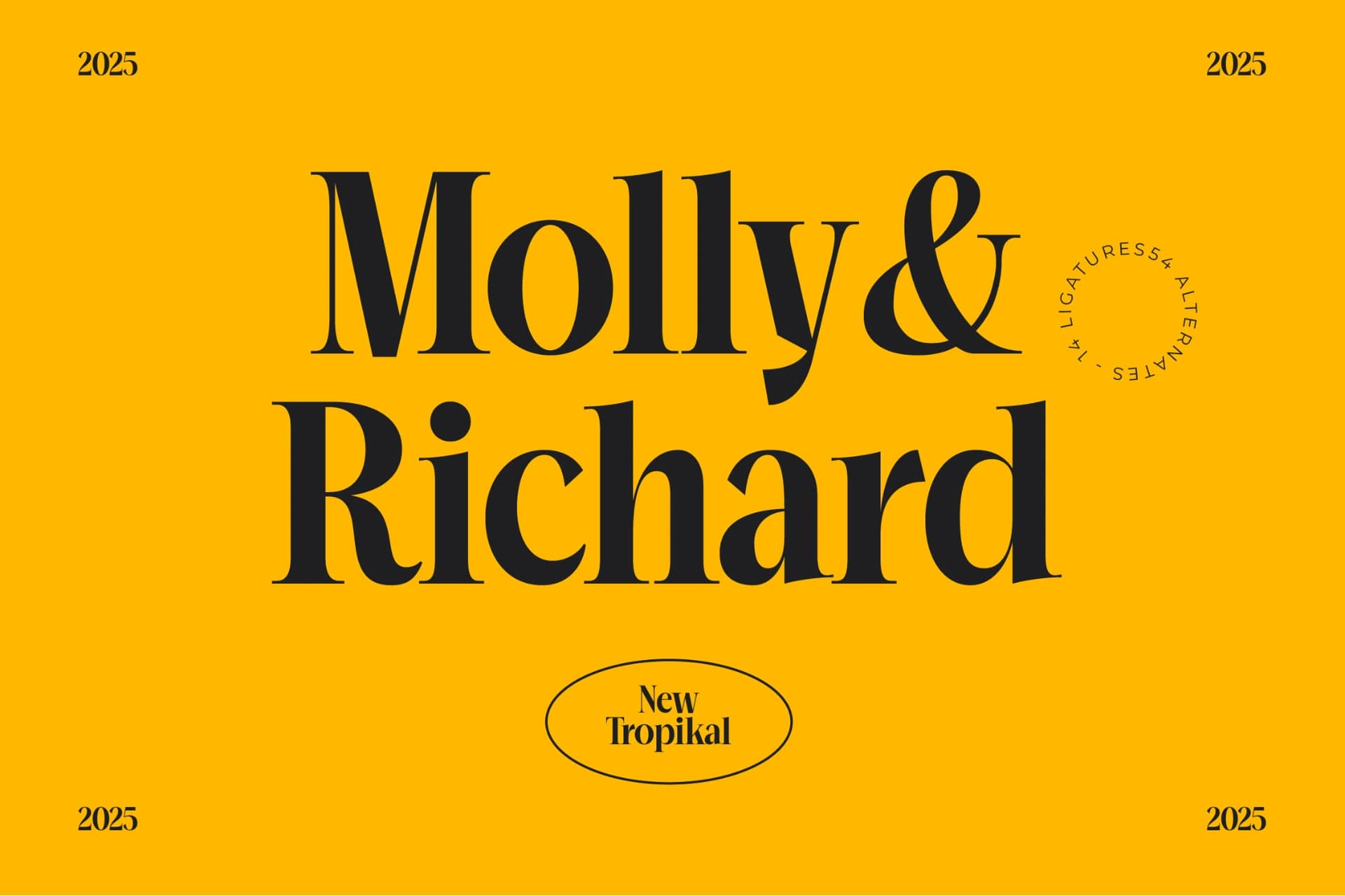 Preview 4 for Mailyo - Modern Serif Font