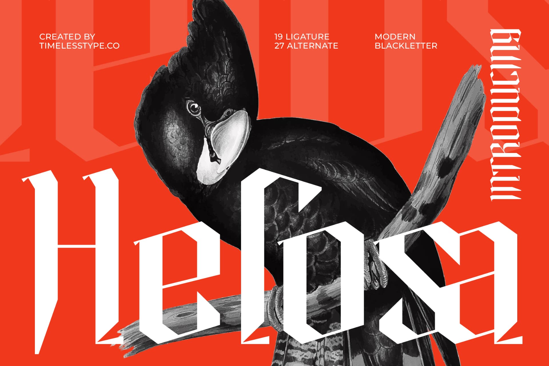 Preview of Helosa - Modern Blackletter Font font