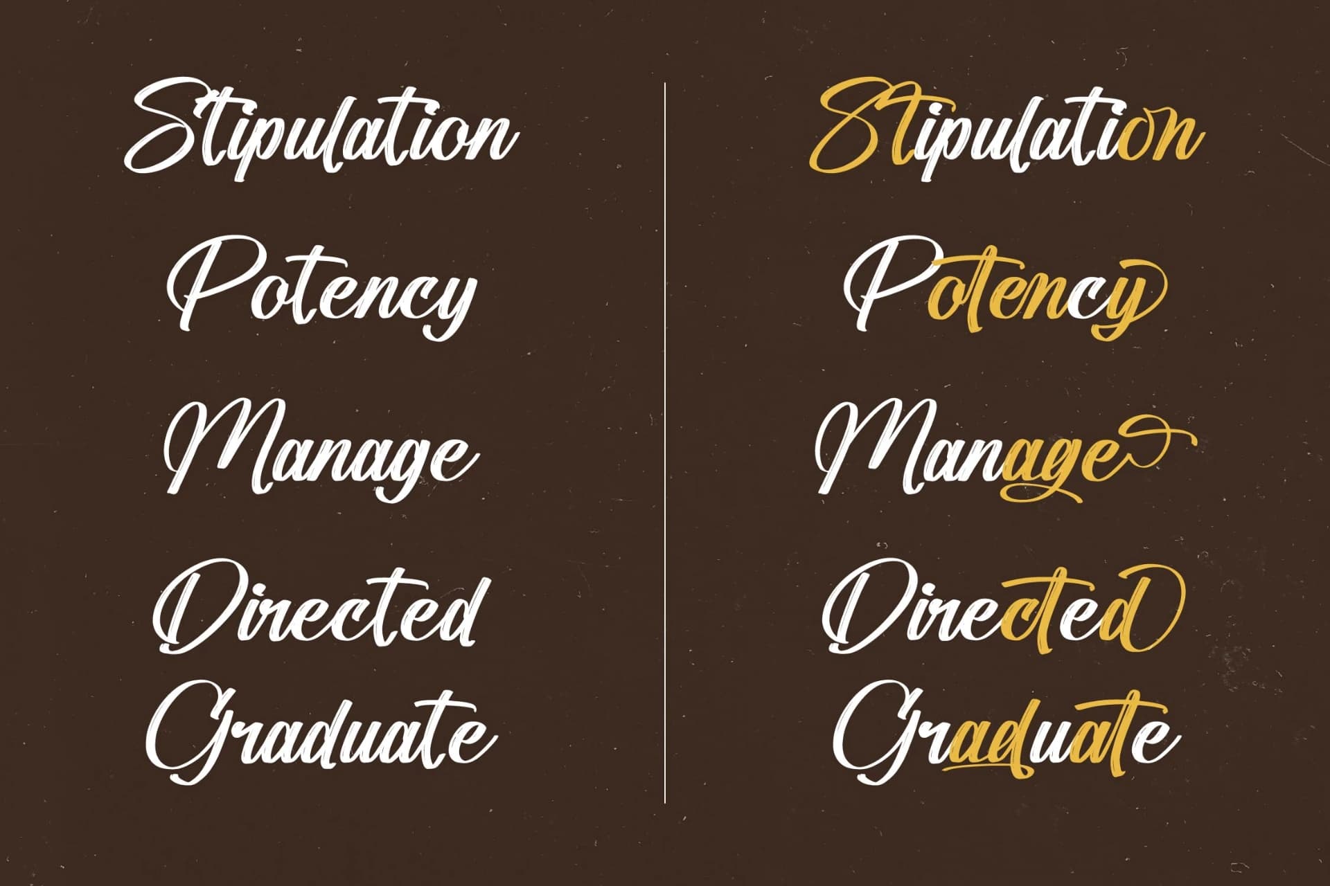 Preview 4 for Standard Vertical - Modern Brush Font