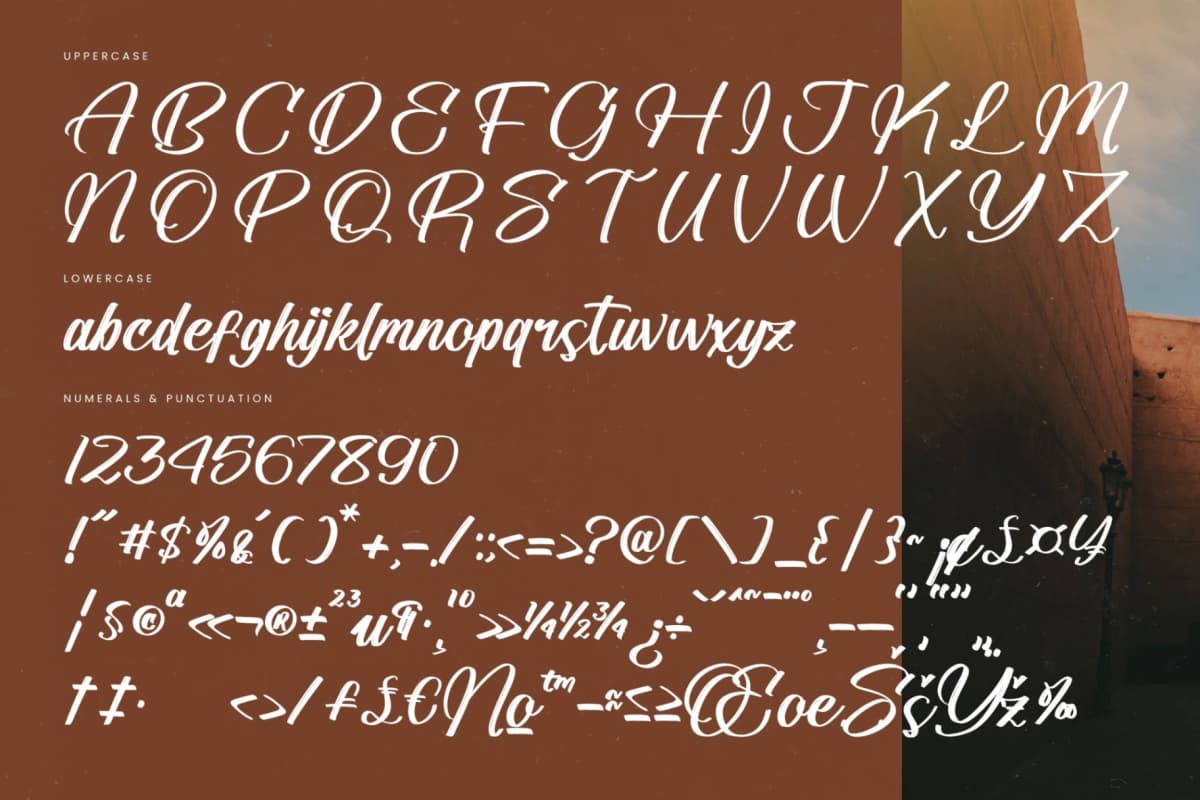 Standard Vertical - Modern Brush Font font preview 18
