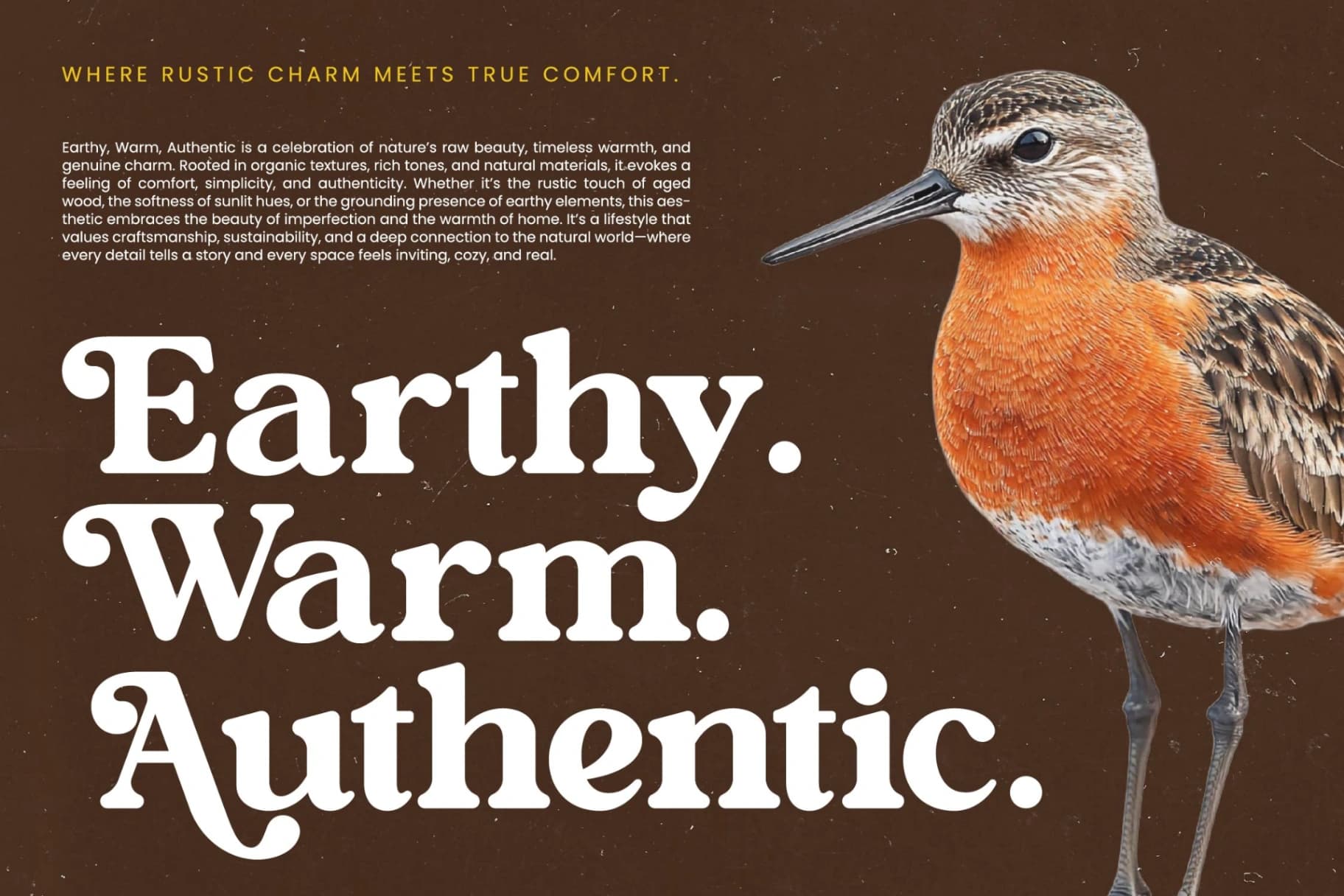 Preview 14 for Bright Rustic - Bold Serif Display Font