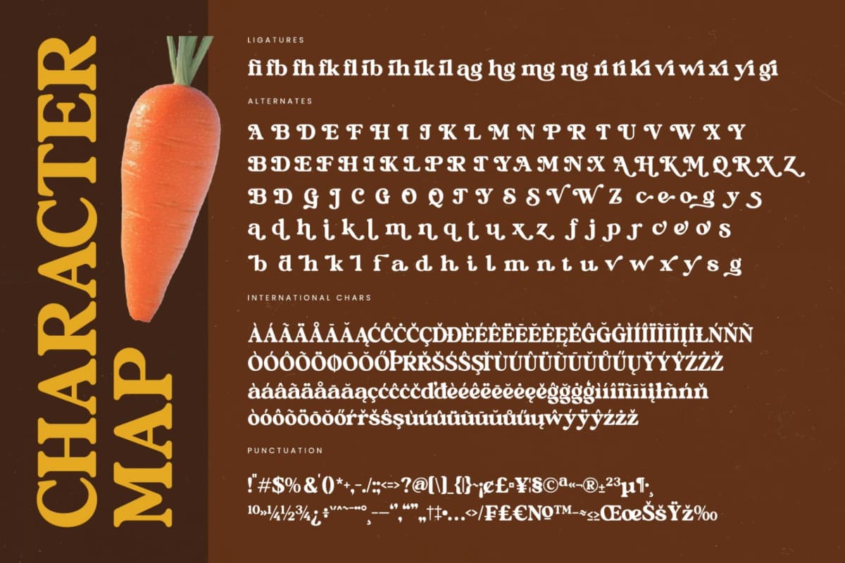 Bright Rustic - Bold Serif Display Font font preview 19