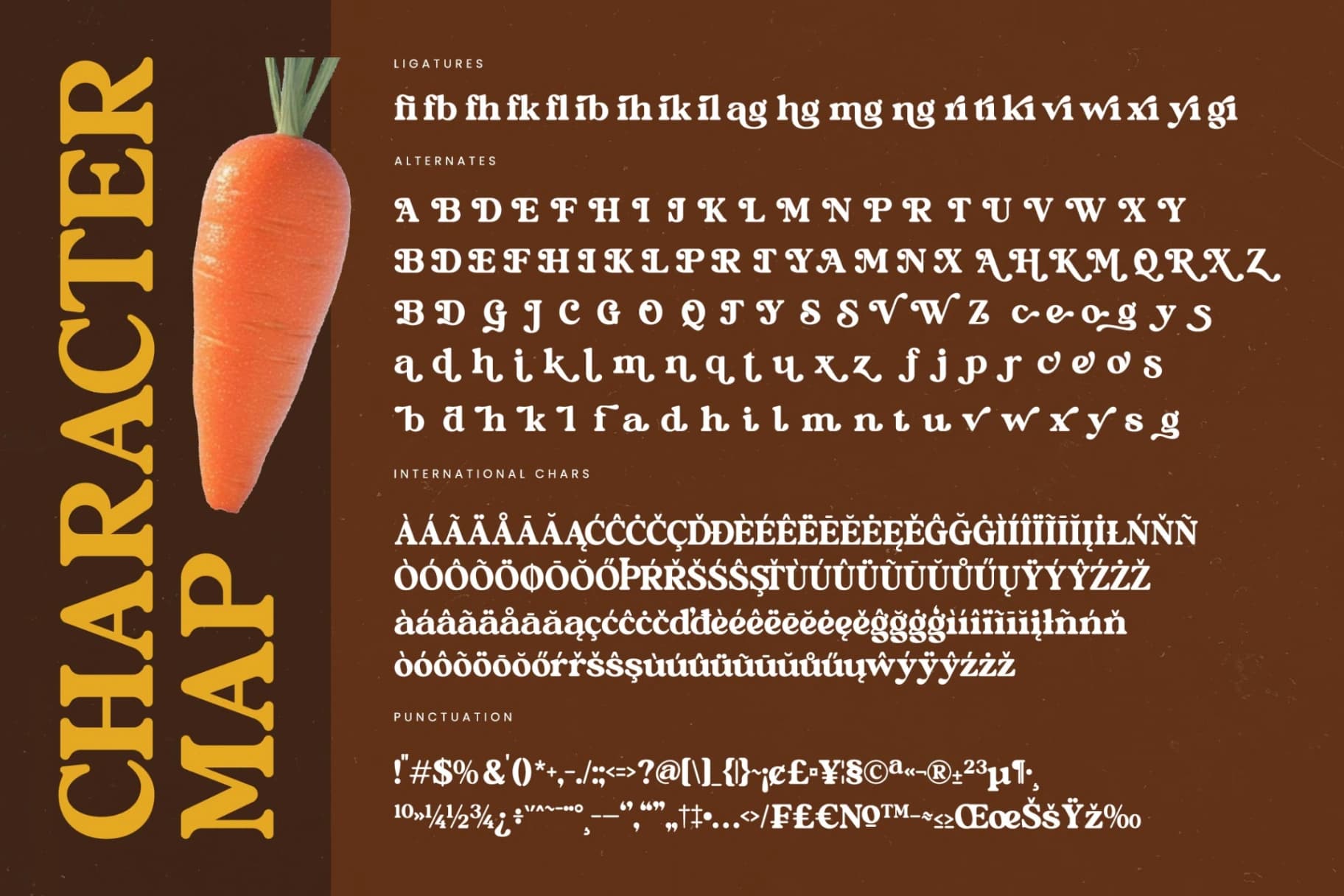 Preview 19 for Bright Rustic - Bold Serif Display Font