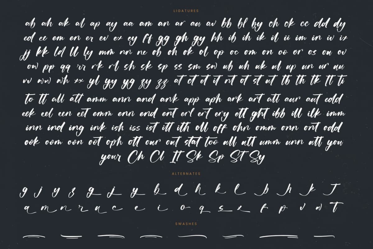 Actively - Modern Brush Font font preview 19