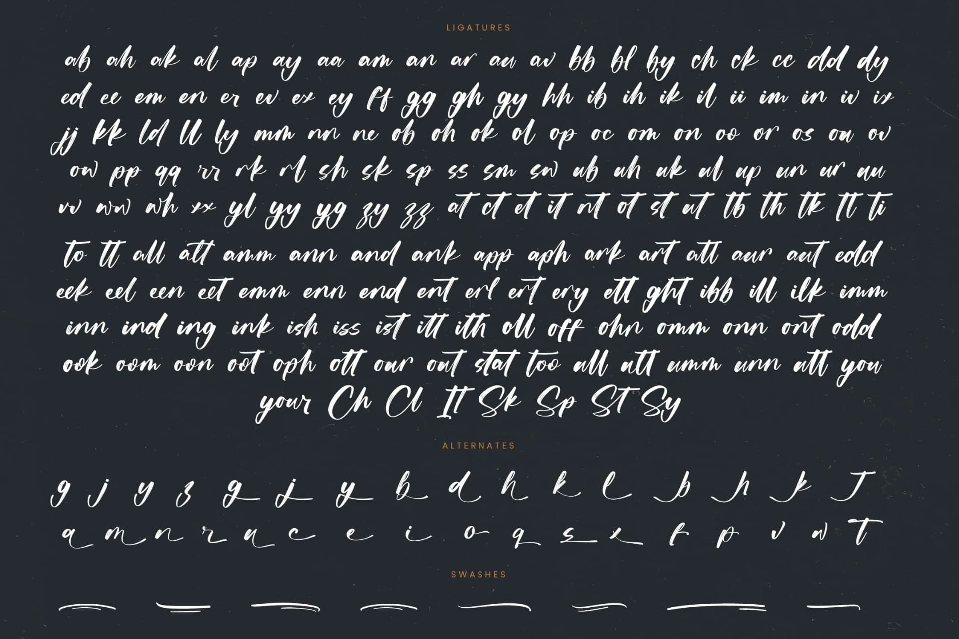 Preview 19 for Actively - Modern Brush Font