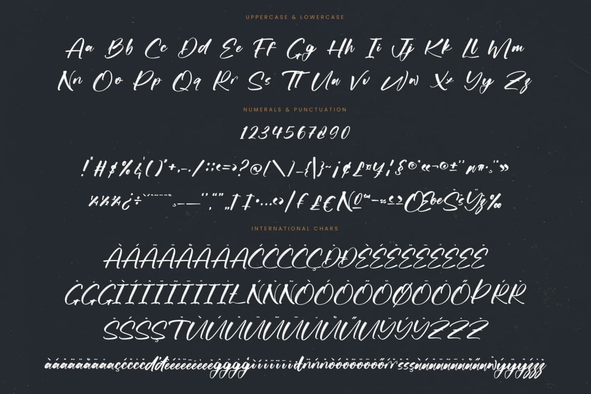 Actively - Modern Brush Font font preview 18