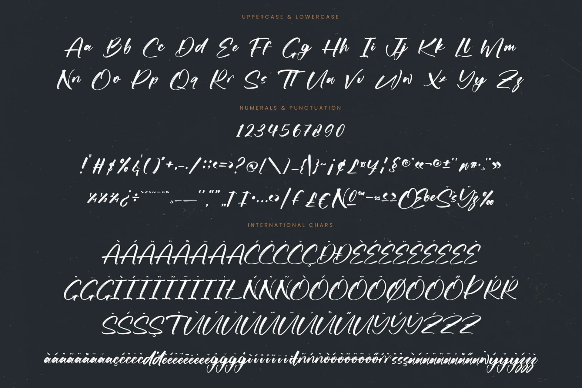 Preview 18 for Actively - Modern Brush Font