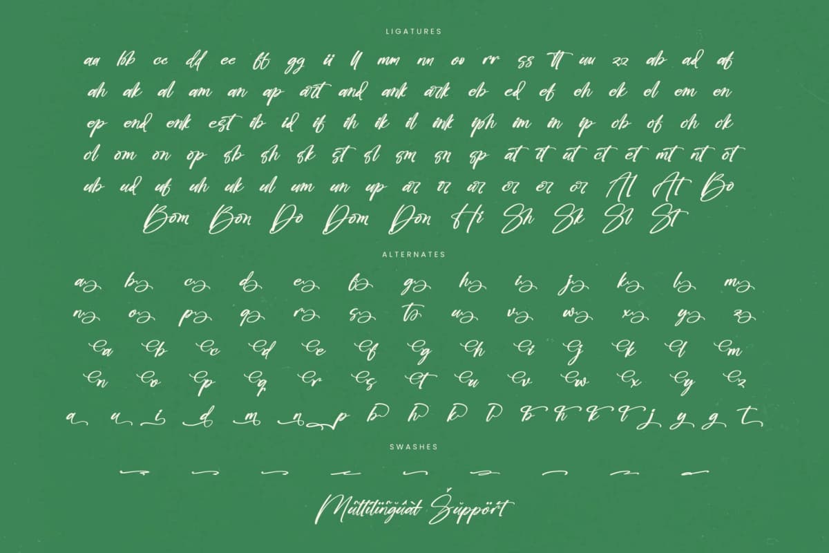 Bombyes Shigter - Bold Brush Font font preview 19