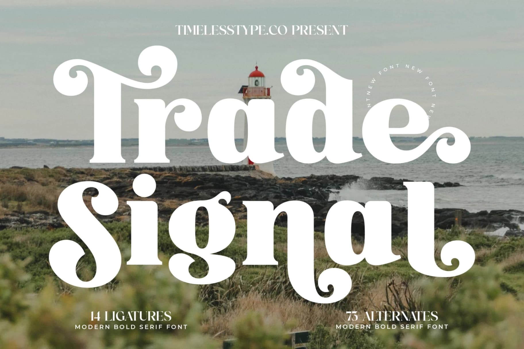 Preview 1 for Trade Signal - Modern Bold Serif Font
