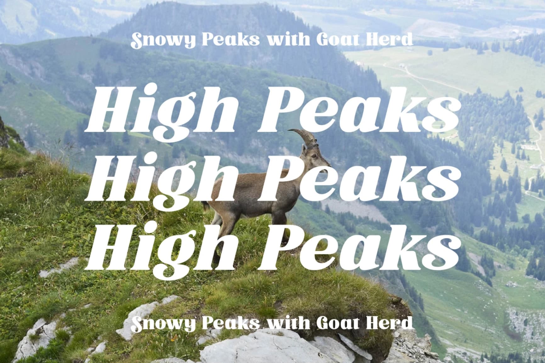 Preview 13 for Trade Signal - Modern Bold Serif Font