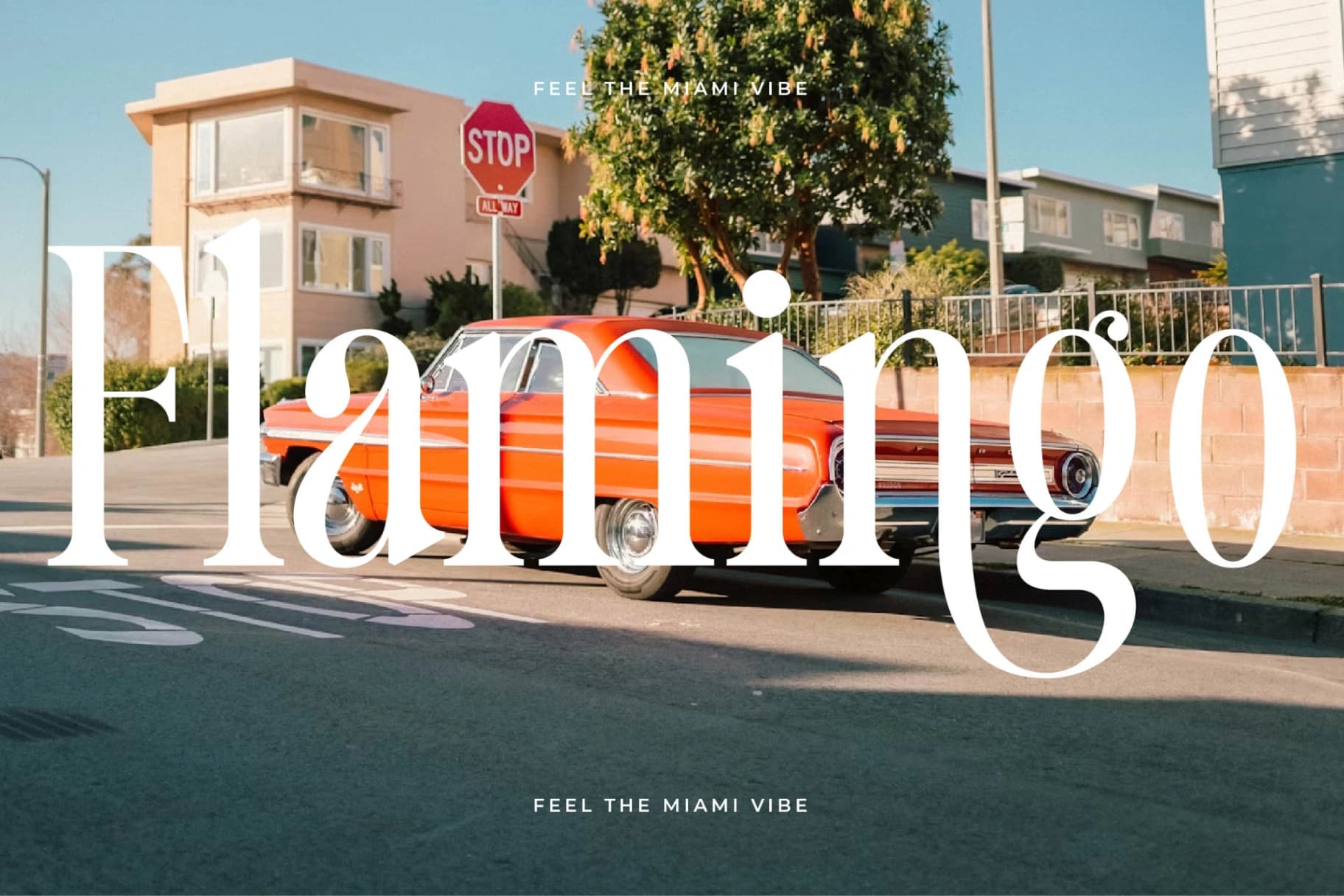 Preview 12 for Trangels - New Tall Serif Display