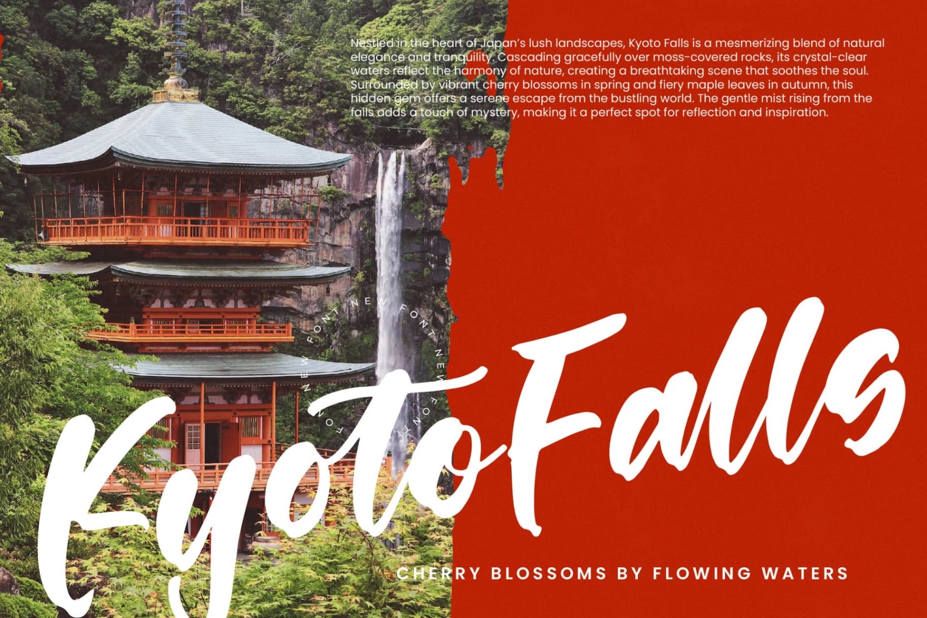Preview 7 for Shinobi Morning - Bold Calligraphy Font