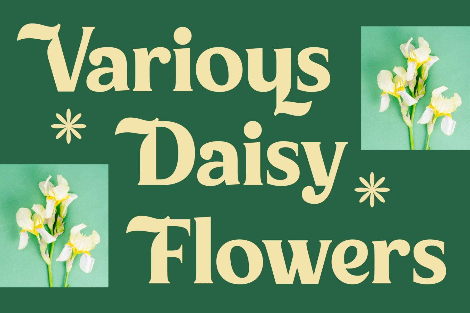 Preview 3 for Milan Wulko - Alternate Bold Serif Font