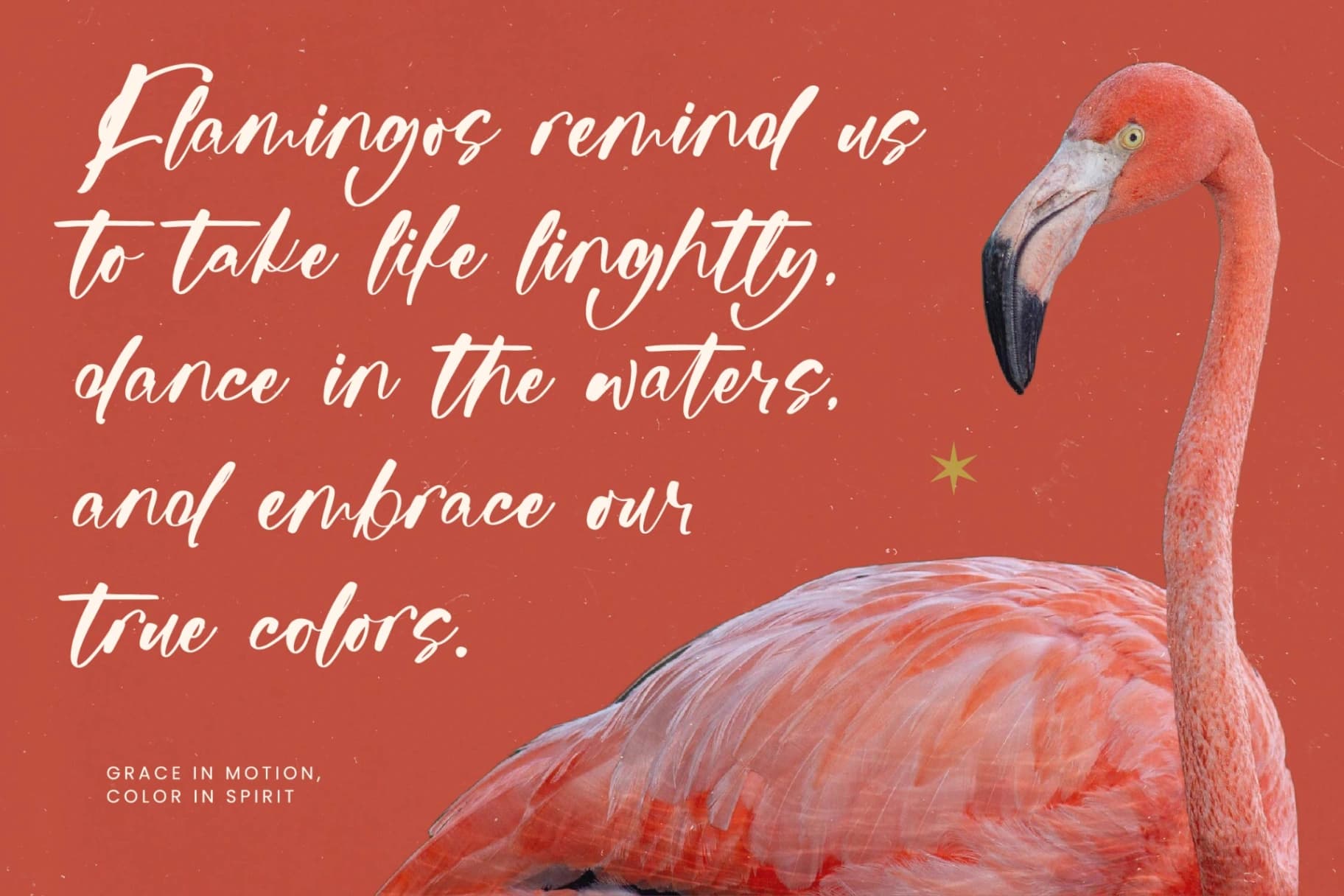 Preview 16 for Raituly Chant - Modern Handwritten Font