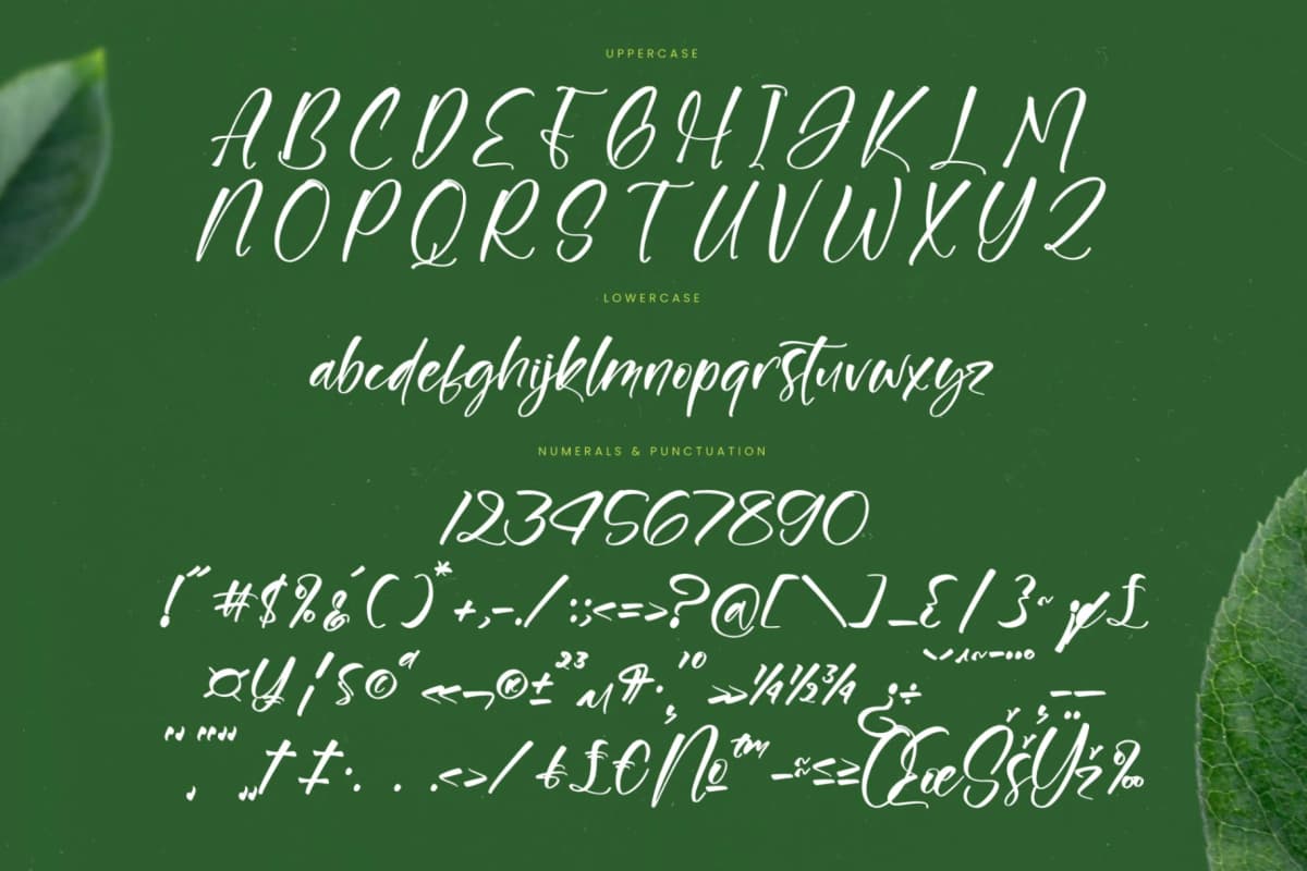 Junglend - Bold Handwritten Font font preview 18