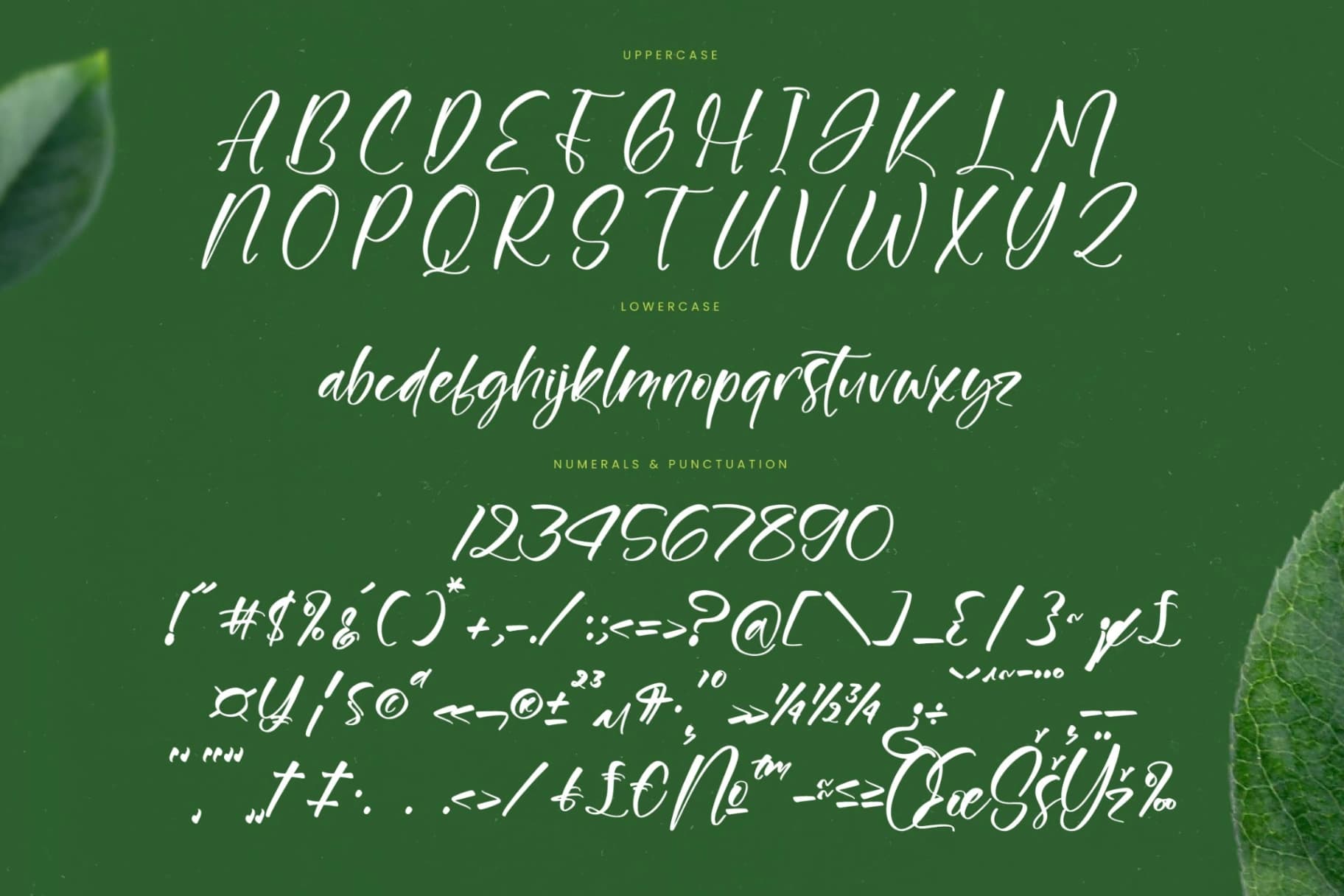 Preview 18 for Junglend - Bold Handwritten Font