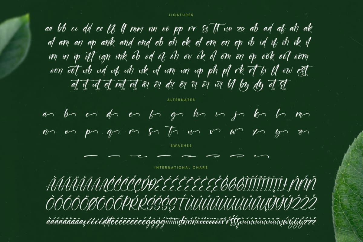 Junglend - Bold Handwritten Font font preview 19