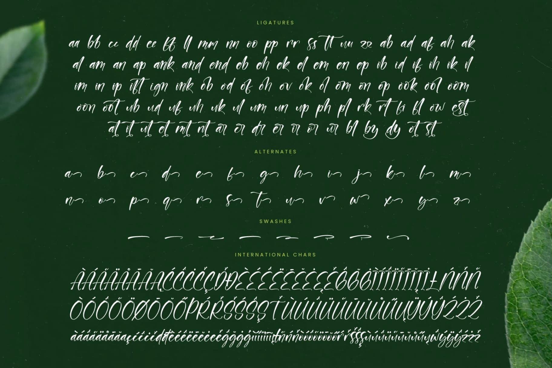 Preview 19 for Junglend - Bold Handwritten Font