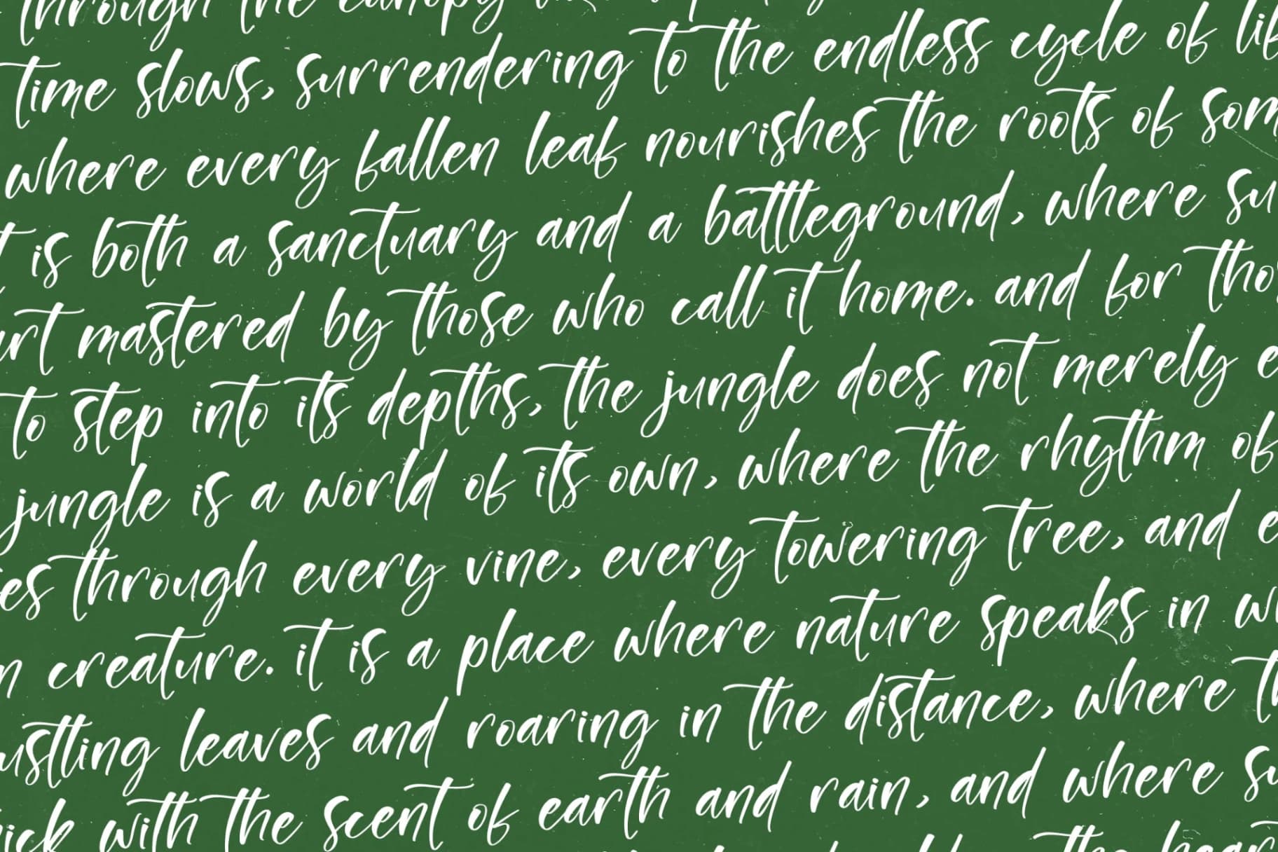Preview 12 for Junglend - Bold Handwritten Font