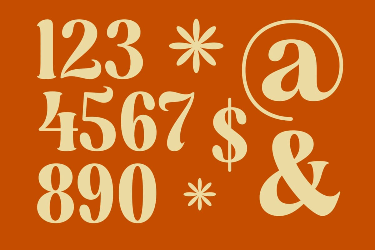 Dusty Brothe - Groovy Serif Display font preview 10